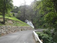 SAM_3705.jpg