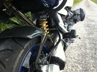 boxer rear end.jpg
