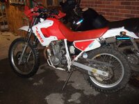 xl250 1.jpg