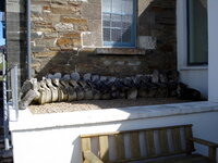 DSC00536.JPG