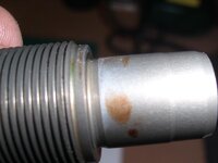 SL272437.JPG