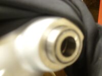 SL272444.JPG