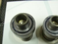 SL272443.JPG
