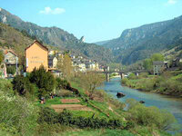vignes01.jpg