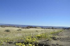 _DSC1775.jpg