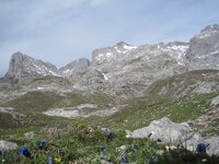 IMG_0387-copy.jpg