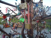lock tree.jpg