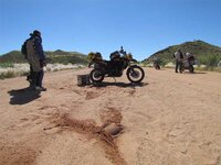 IMG_0800.jpg