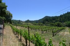 Winery1.JPG