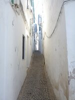 095.JPG