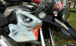shark.jpg