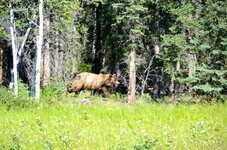DSC_2217_2.jpg