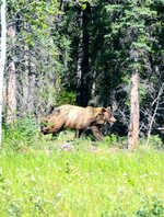 DSC_2217.jpg