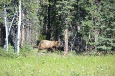 DSC_2218.jpg