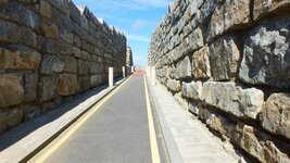 DSCF2446 (Medium).jpg