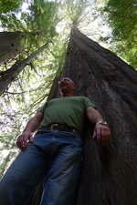 Big tree 2.JPG
