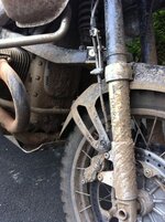 IMG_3475_448x600.jpg