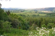 clay bank.jpg
