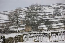 1 Reeth view b.jpg