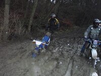PC040313 (Medium).JPG