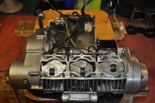 DSC_0825.JPG