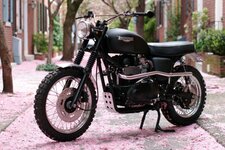 tri scrambler small.jpg