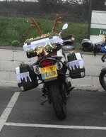 SAM_0103-1.JPG