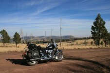 Arizona1.JPG