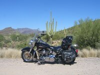 Arizona2.JPG