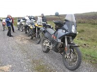 IMG_3968.jpg