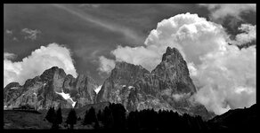 DSC_1914.jpg