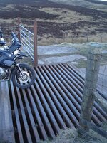 Lammermuir Ride! 013.jpg