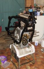 S6300462.jpg