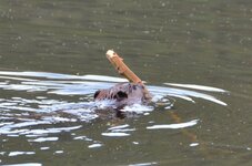 DSC_3187.jpg