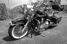 DSC00958.jpg