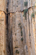 el-caminito-7[3].jpg