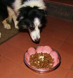Dogs dinner optim.jpg