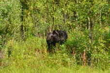 DSC_3252.jpg
