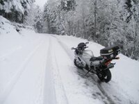 P1010098 - Copy.JPG