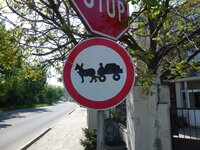 P1010120.jpg