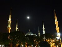P1010154.jpg