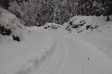 DSC_2795.jpg