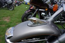DSC01004.jpg