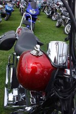 DSC01008.jpg