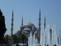 P1010166.jpg