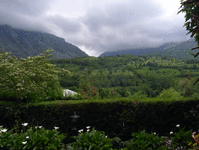 pic8.gif