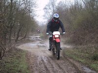 img_1037.jpg