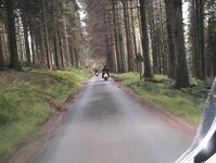 picture 035a.jpg