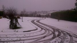 IMG_00000003.jpg
