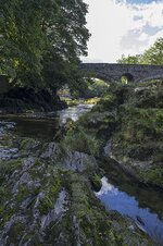 06 Cenarth bridge.jpg